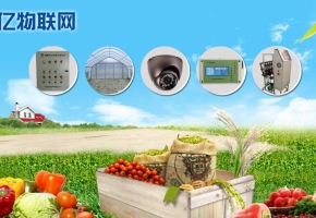 農業物聯網存在哪些問題？