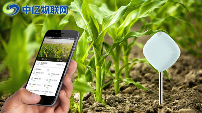 物聯網卡運用在農作物管理上會怎么樣？