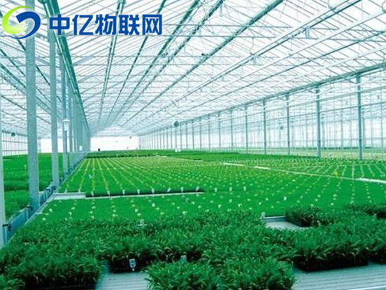 溫濕度傳感器用于智能農業的監測中 溫濕度傳感器用于智能農業的監測中