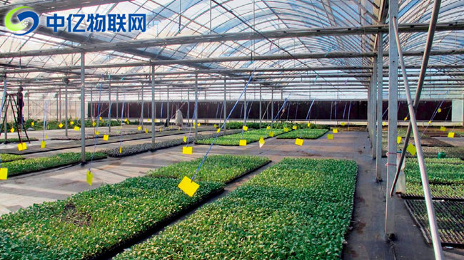 生產監控設備流量卡：物聯網讓農業生產精細化！