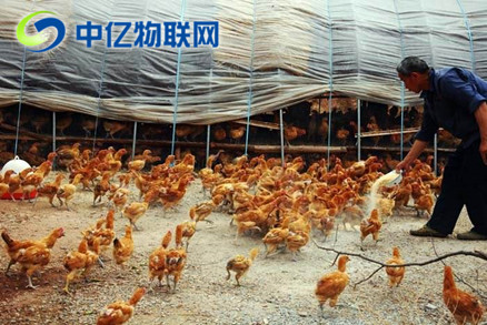 養殖場物聯卡