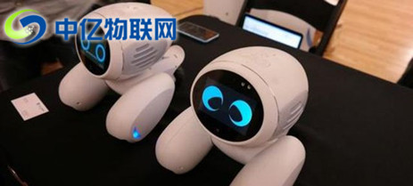  寵物機器人聯通物聯卡是如何實現智能化管理的？為什么能受到市場青睞？