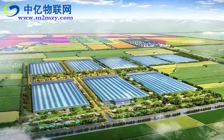 農業物聯網是如何實現農業生產精致化？